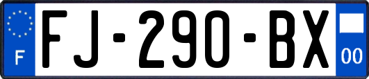 FJ-290-BX