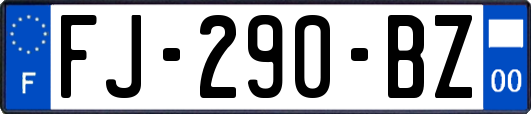 FJ-290-BZ