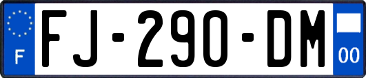 FJ-290-DM