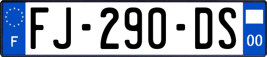 FJ-290-DS