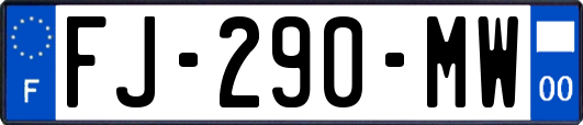 FJ-290-MW