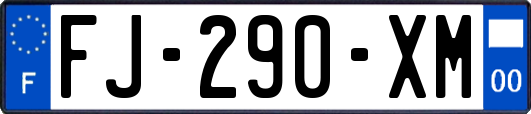 FJ-290-XM