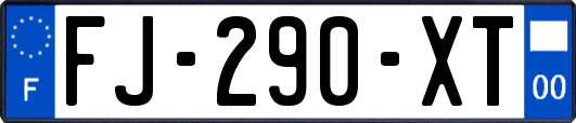 FJ-290-XT