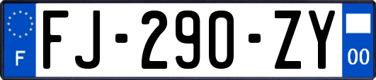 FJ-290-ZY