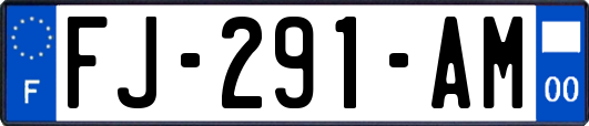 FJ-291-AM