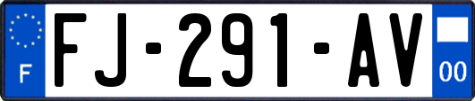 FJ-291-AV