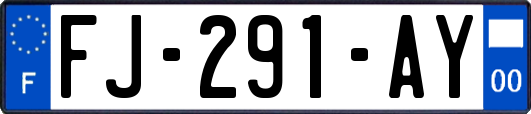 FJ-291-AY