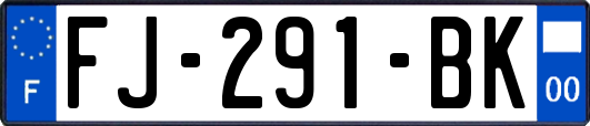 FJ-291-BK
