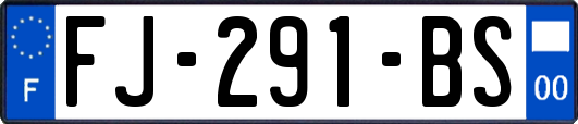 FJ-291-BS