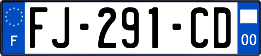FJ-291-CD
