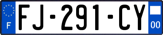 FJ-291-CY