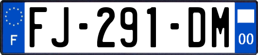 FJ-291-DM