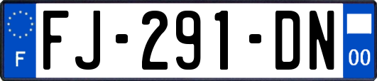 FJ-291-DN