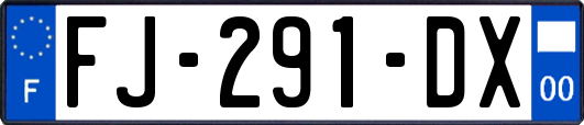 FJ-291-DX