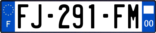FJ-291-FM