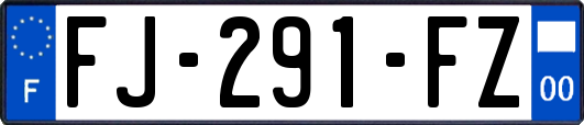 FJ-291-FZ