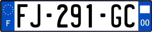 FJ-291-GC