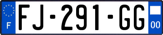 FJ-291-GG