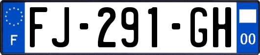 FJ-291-GH