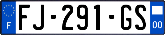 FJ-291-GS