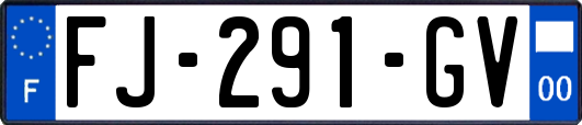 FJ-291-GV