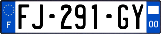 FJ-291-GY