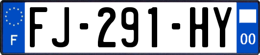 FJ-291-HY