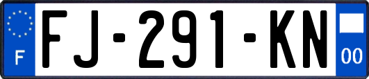 FJ-291-KN