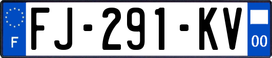 FJ-291-KV