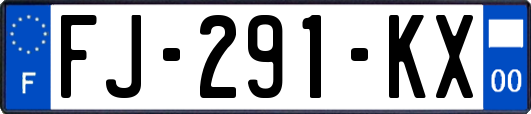 FJ-291-KX