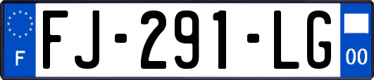 FJ-291-LG