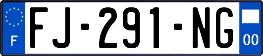 FJ-291-NG