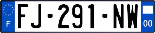 FJ-291-NW