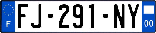 FJ-291-NY