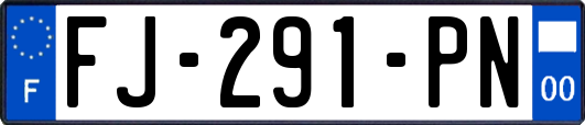FJ-291-PN