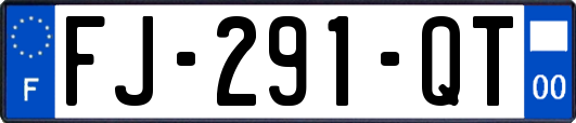 FJ-291-QT