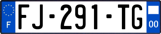 FJ-291-TG