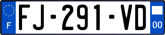 FJ-291-VD