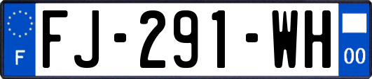 FJ-291-WH