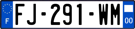 FJ-291-WM