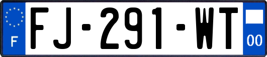 FJ-291-WT