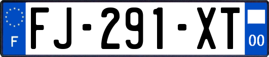 FJ-291-XT