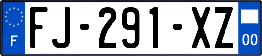 FJ-291-XZ