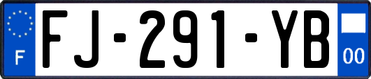 FJ-291-YB