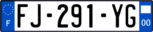 FJ-291-YG