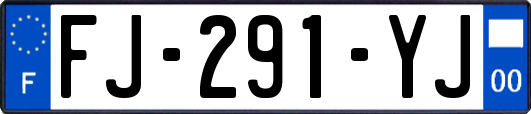 FJ-291-YJ