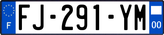 FJ-291-YM