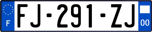 FJ-291-ZJ