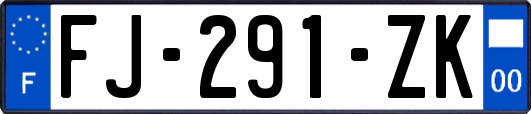 FJ-291-ZK