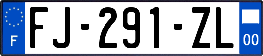 FJ-291-ZL